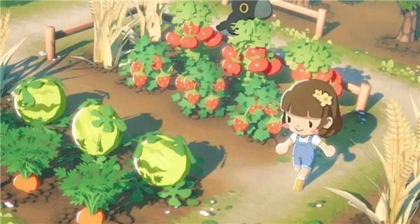 泡芙天空岛 安卓版v1.1.0